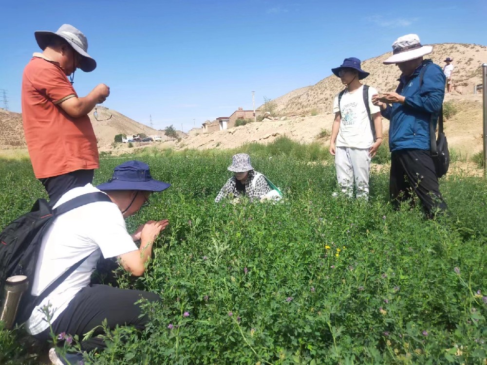 甘肅農業大學植保學院王院長率領科研團隊蒞臨我公司蘭州飼草牧草制種實驗站考察調研